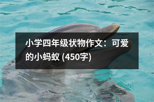 小學四年級狀物作文：可愛的小螞蟻 (450字)
