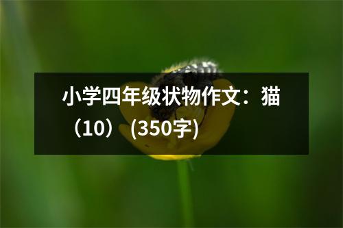 小學四年級狀物作文：貓（10） (350字)