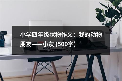 小學四年級狀物作文：我的動物朋友——小灰 (500字)