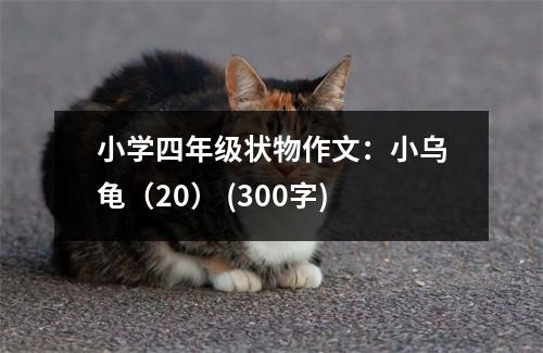 小學(xué)四年級狀物作文：小烏龜（20） (300字)