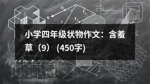 小學(xué)四年級狀物作文：含羞草（9） (450字)