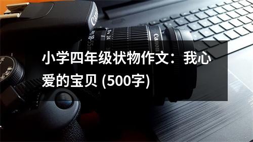 小學(xué)四年級(jí)狀物作文：我心愛的寶貝 (500字)