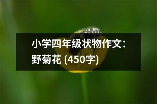 小學(xué)四年級狀物作文：野菊花 (450字)