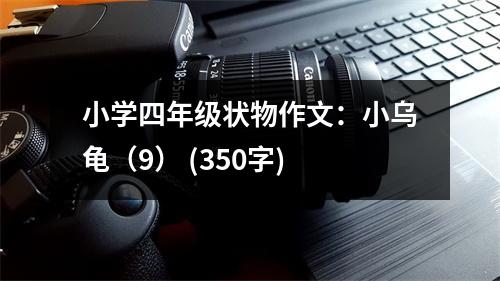 小學(xué)四年級(jí)狀物作文：小烏龜（9） (350字)