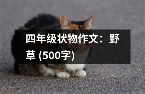四年級狀物作文：野草 (500字)
