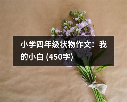 小學(xué)四年級(jí)狀物作文：我的小白 (450字)