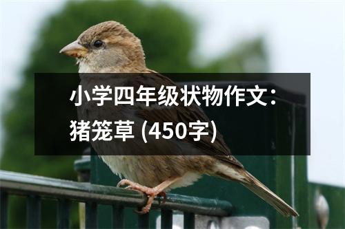 小學(xué)四年級(jí)狀物作文：豬籠草 (450字)