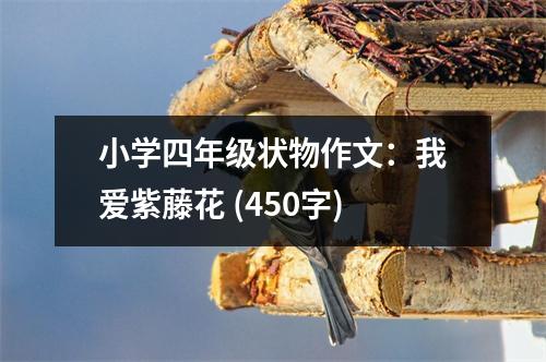 小學(xué)四年級(jí)狀物作文：我愛紫藤花 (450字)