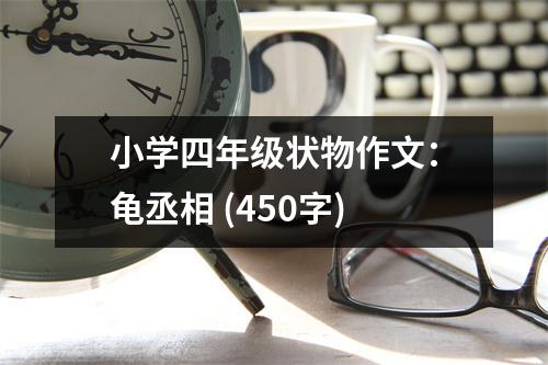 小學(xué)四年級(jí)狀物作文：龜丞相 (450字)