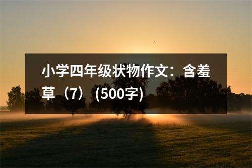 小學四年級狀物作文：含羞草（7） (500字)