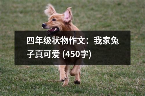 四年級(jí)狀物作文：我家兔子真可愛 (450字)