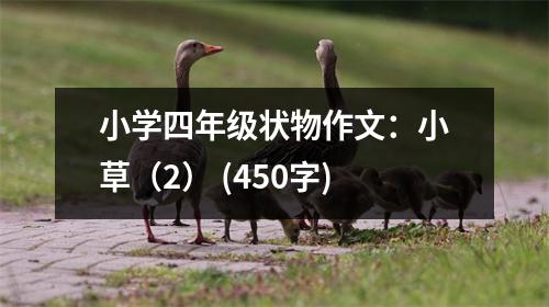 小學(xué)四年級(jí)狀物作文：小草（2） (450字)