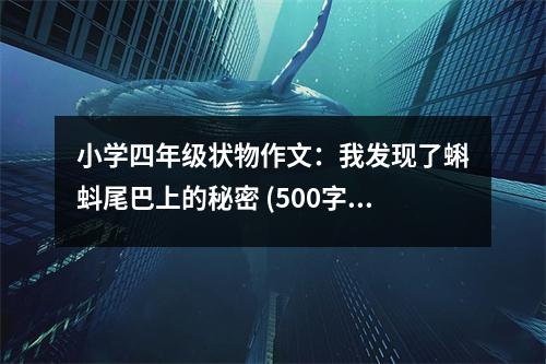 小學(xué)四年級狀物作文：我發(fā)現(xiàn)了蝌蚪尾巴上的秘密 (500字)