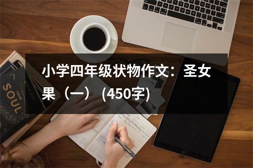 小學(xué)四年級(jí)狀物作文：圣女果（一） (450字)
