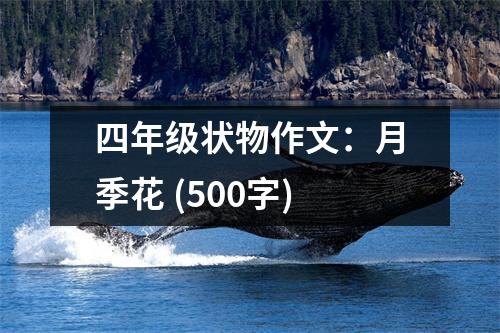 四年級(jí)狀物作文：月季花 (500字)