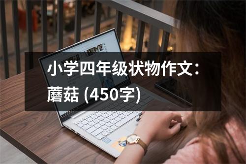 小學(xué)四年級(jí)狀物作文：蘑菇 (450字)