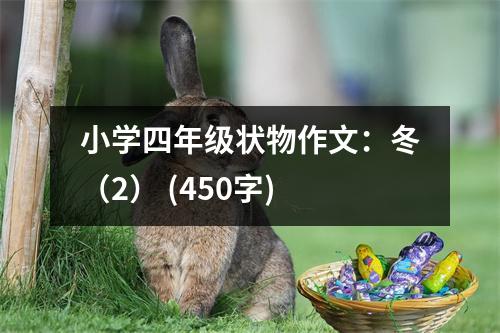 小學(xué)四年級狀物作文：冬（2） (450字)