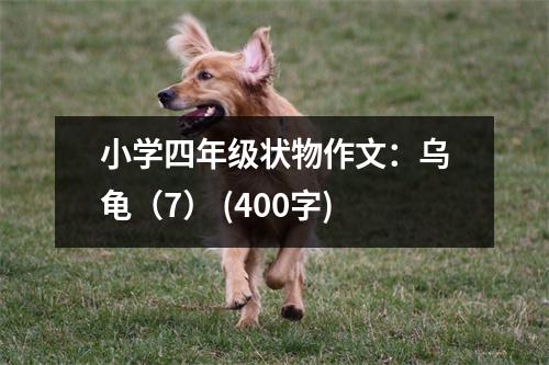 小學(xué)四年級(jí)狀物作文：烏龜（7） (400字)