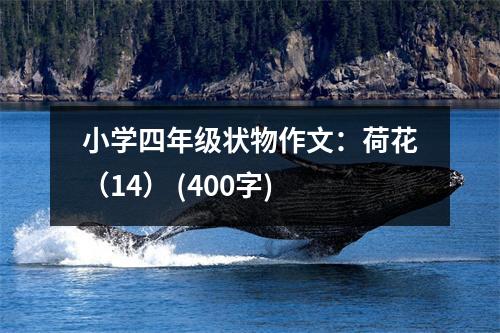小學(xué)四年級狀物作文：荷花（14） (400字)