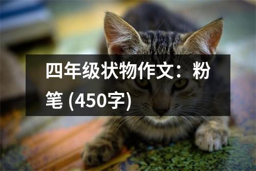 四年級狀物作文：粉筆 (450字)