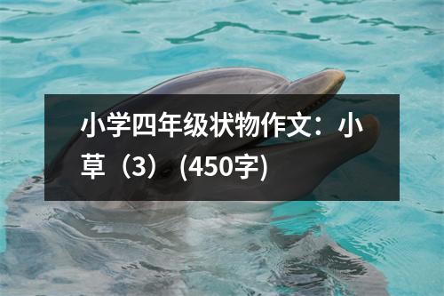 小學四年級狀物作文：小草（3） (450字)
