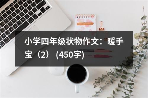 小學四年級狀物作文：暖手寶（2） (450字)