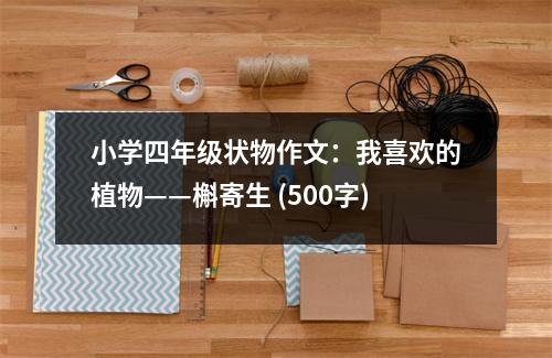 小學四年級狀物作文：我喜歡的植物——槲寄生 (500字)