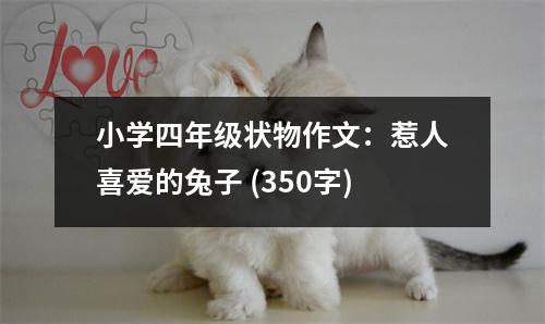小學四年級狀物作文：惹人喜愛的兔子 (350字)