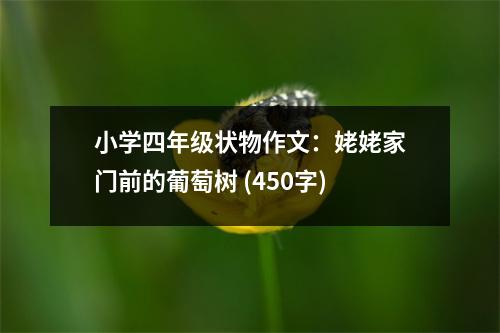 小學(xué)四年級狀物作文：姥姥家門前的葡萄樹 (450字)