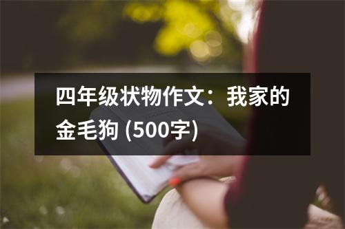 四年級狀物作文：我家的金毛狗 (500字)