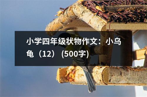 小學四年級狀物作文：小烏龜（12） (500字)