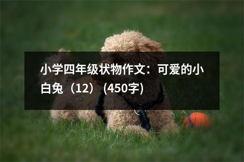 小學(xué)四年級(jí)狀物作文：可愛(ài)的小白兔（12） (450字)