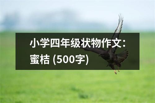 小學(xué)四年級(jí)狀物作文：蜜桔 (500字)