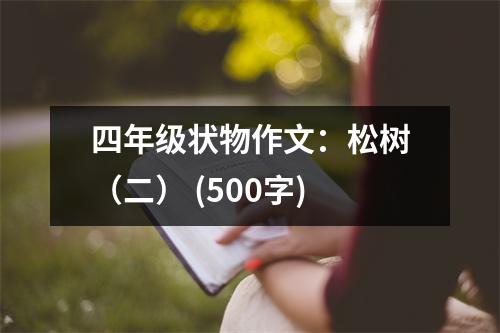 四年級狀物作文：松樹（二） (500字)