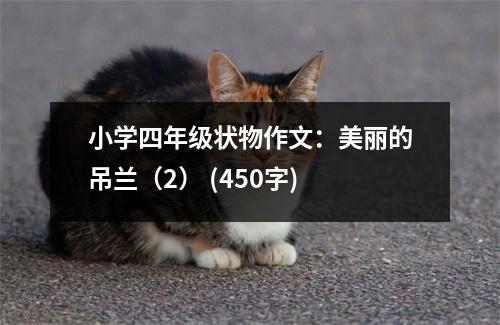 小學四年級狀物作文：美麗的吊蘭（2） (450字)