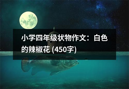 小學四年級狀物作文：白色的辣椒花 (450字)