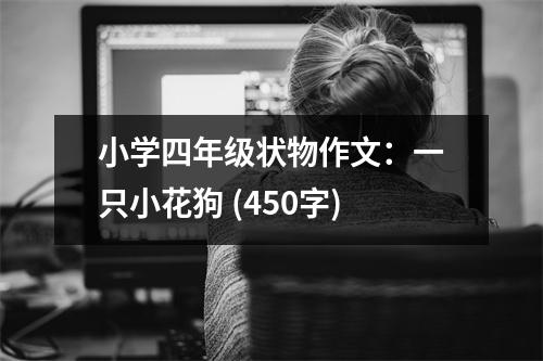 小學四年級狀物作文：一只小花狗 (450字)