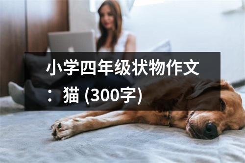 小學(xué)四年級狀物作文：貓 (300字)