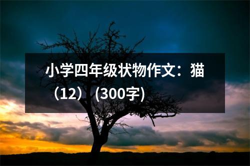 小學(xué)四年級狀物作文：貓（12） (300字)