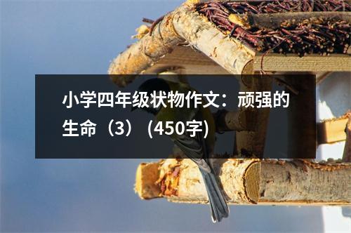 小學(xué)四年級(jí)狀物作文：頑強(qiáng)的生命（3） (450字)