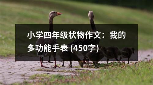 小學(xué)四年級(jí)狀物作文：我的多功能手表 (450字)