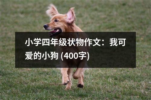 小學四年級狀物作文：我可愛的小狗 (400字)