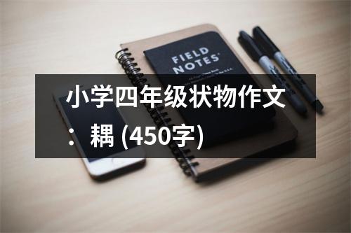 小學四年級狀物作文：耦 (450字)