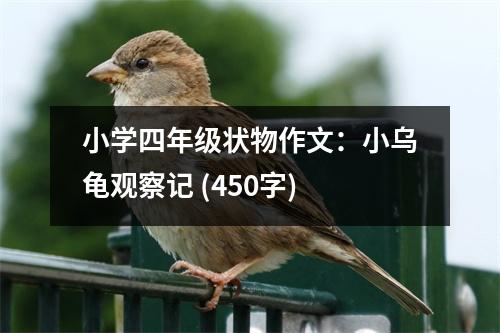 小學四年級狀物作文：小烏龜觀察記 (450字)