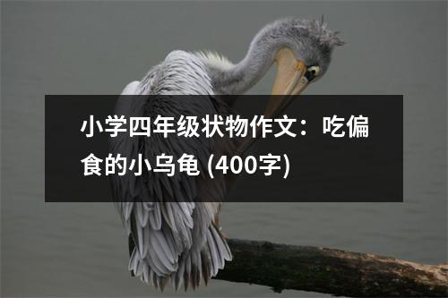 小學四年級狀物作文：吃偏食的小烏龜 (400字)