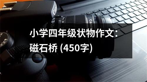 小學四年級狀物作文：磁石橋 (450字)