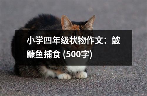 小學四年級狀物作文：鮟鱇魚捕食 (500字)