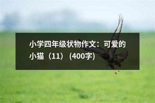 小學(xué)四年級(jí)狀物作文：可愛的小貓（11） (400字)