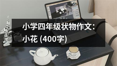 小學(xué)四年級(jí)狀物作文：小花 (400字)