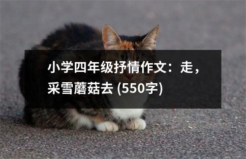 小學(xué)四年級(jí)抒情作文：走，采雪蘑菇去 (550字)